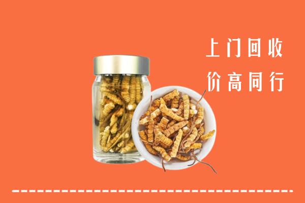 包头青山回收冬虫夏草